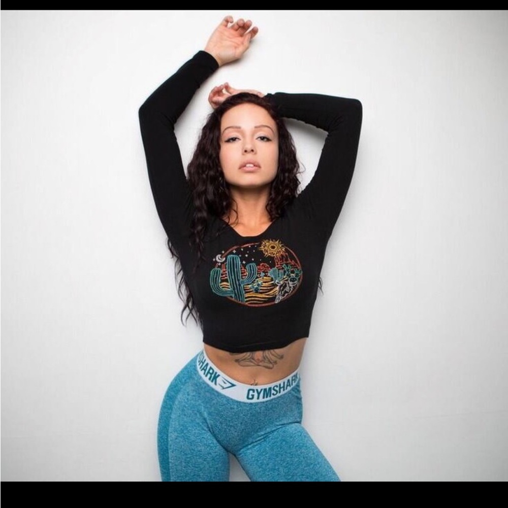Desert Long Sleeve Crop